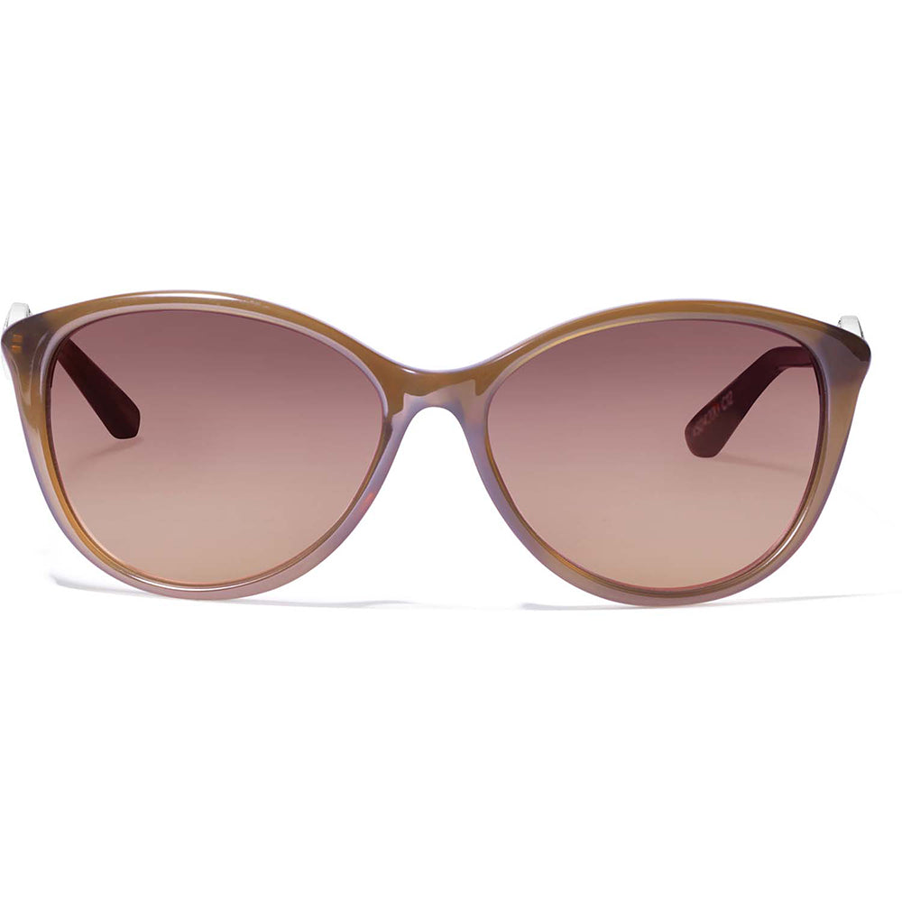 Brighton Ferrara Brown Sunglasses