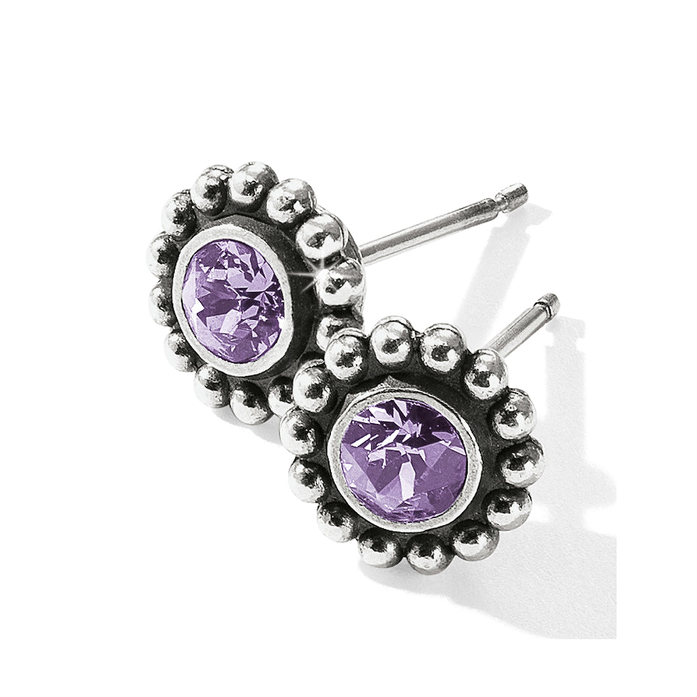 Brighton Twinkle Mini Post Tanzanite Earrings