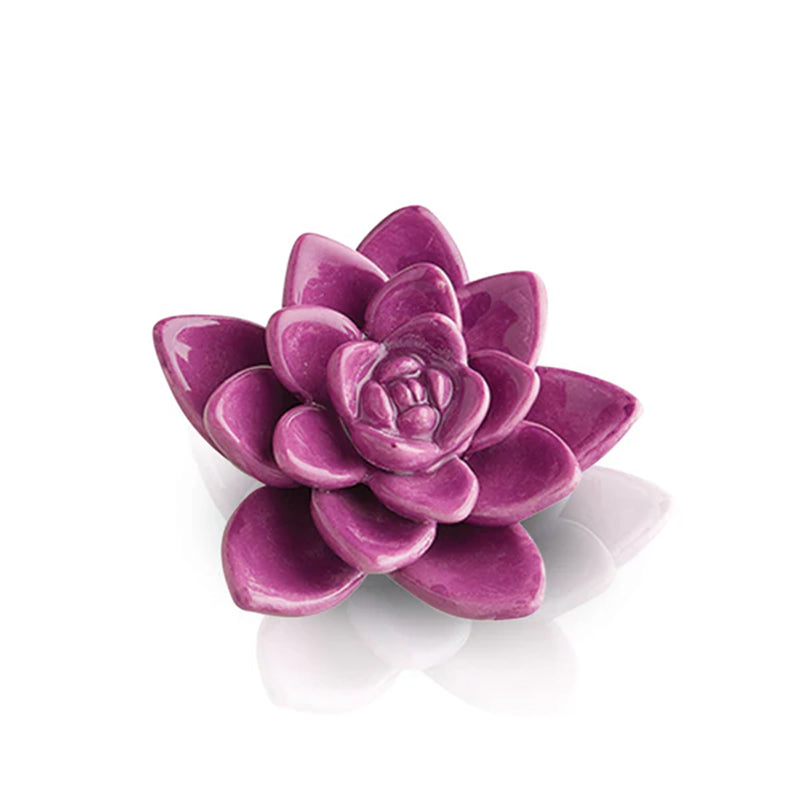 Nora Fleming Succulent Mini