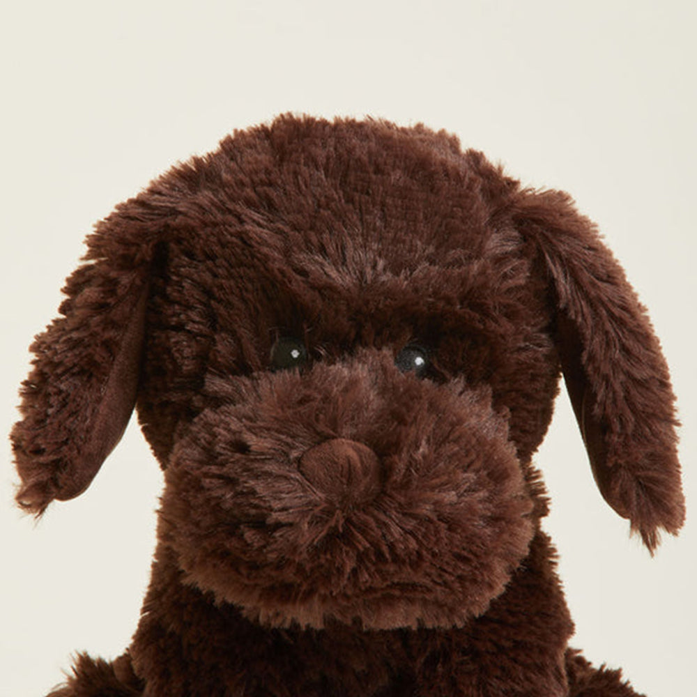 Close-up of a brown plush dog toy on a beige background