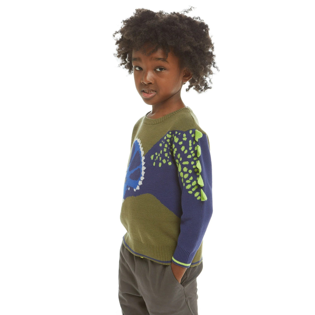 Young boy with curly brown hair wearing a blue and green sweater and grey pants. 