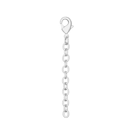 Silver chain with clasp on a white background