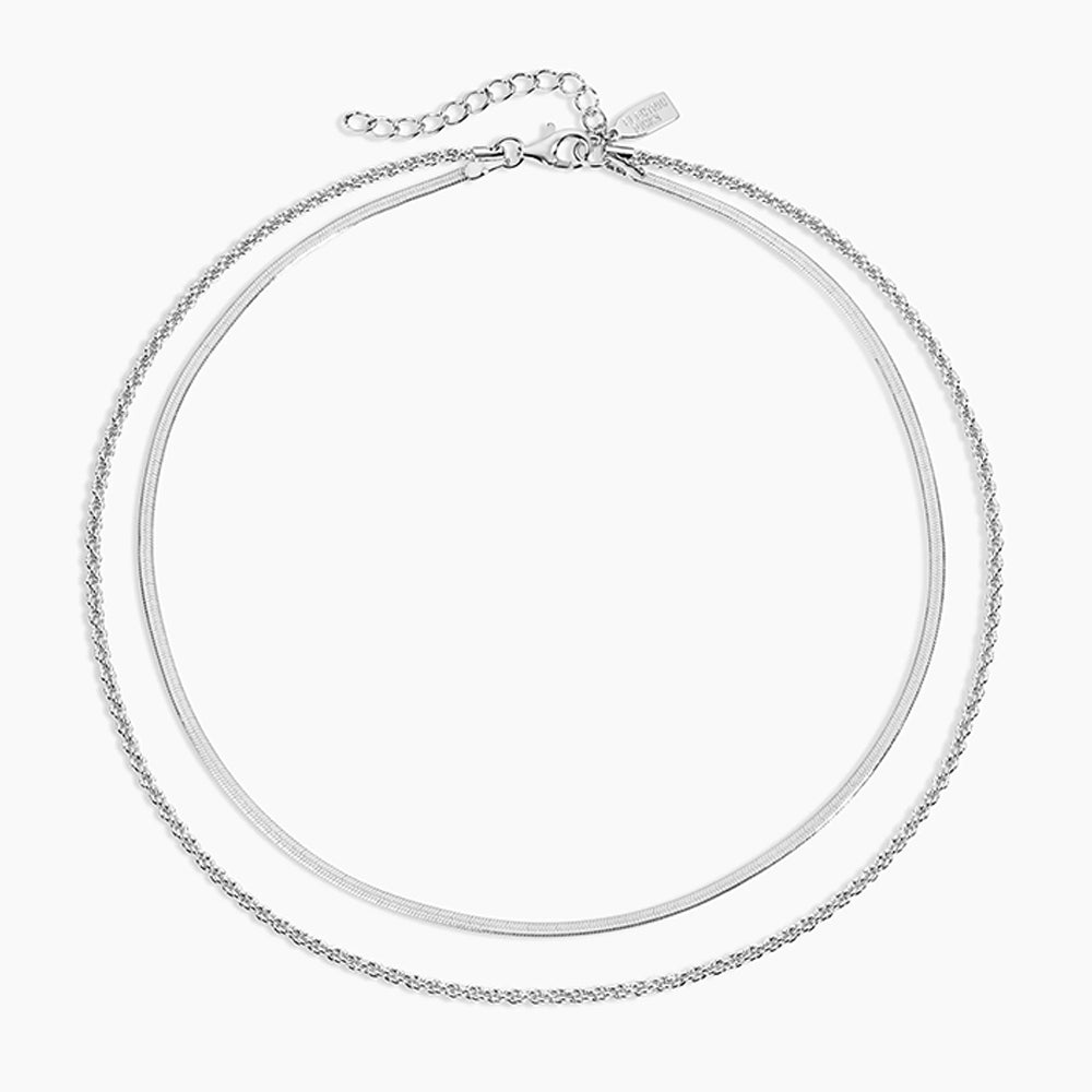 Double chain silver necklace on a white background