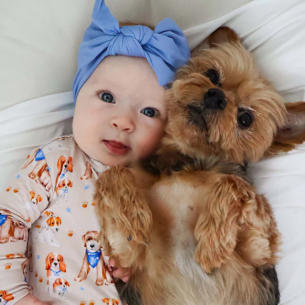 Baby wearing a blue headband with a small brown dog on a white blanket