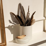 A white ceramic vase with a ribbed base holding dried brown and beige feathers, styled on a white shelf next to a gold picture frame.
