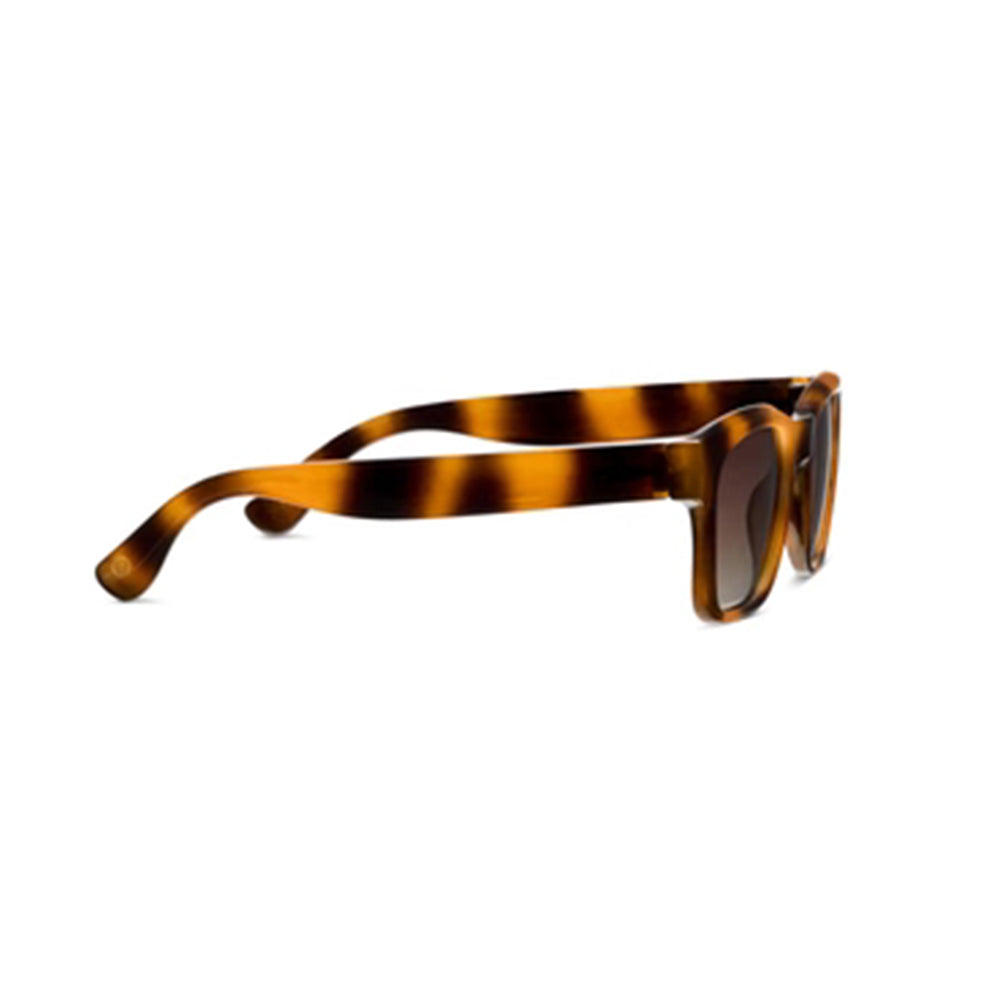 Peepers Rookie Polarized Sunglasses Mocha Tortoise