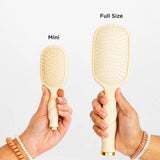 Mini and full-size hairbrushes held by hands against a white background