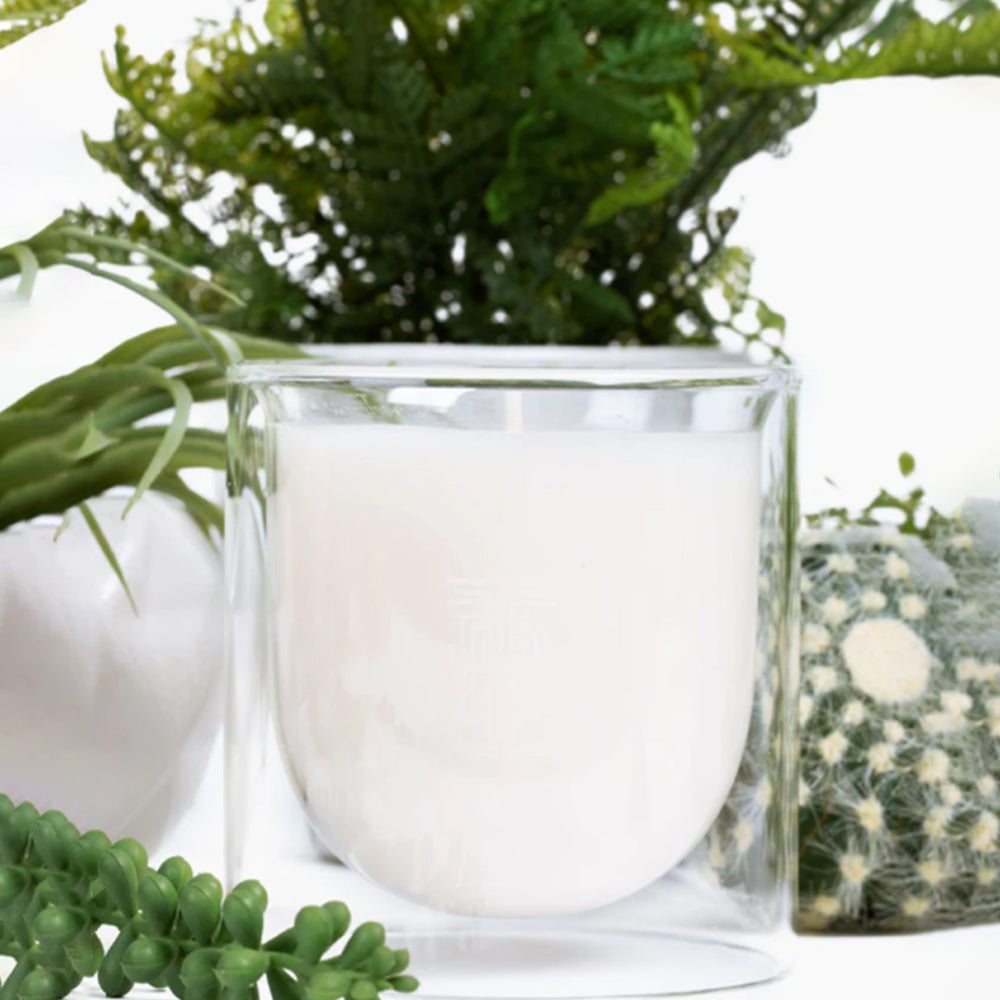 Clear glass vase with greenery on a white background
