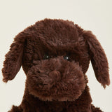 Close-up of a brown plush dog toy on a beige background
