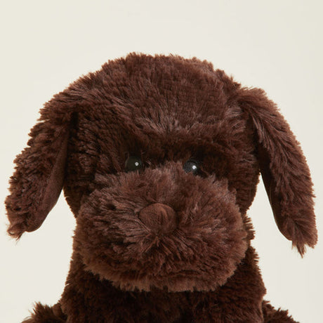 Close-up of a brown plush dog toy on a beige background