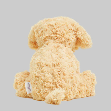 Beige teddy bear on a light gray background
