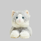 Plush toy cat with gray fur and blue eyes on a gray background