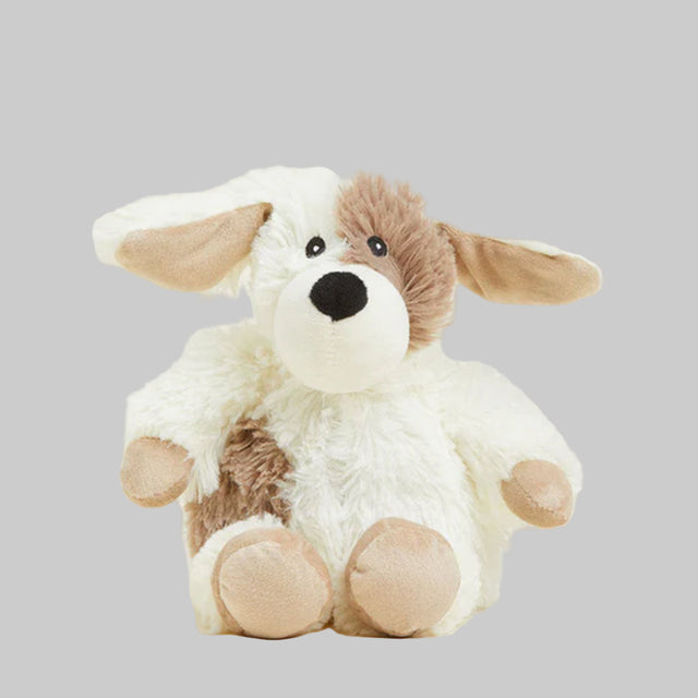 Small plush puppy on a grey background